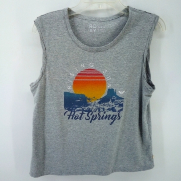 Roxy | Tops | 33 Roxy Rising Sun Hot Springs Crop Top Gray Graphic Tee ...
